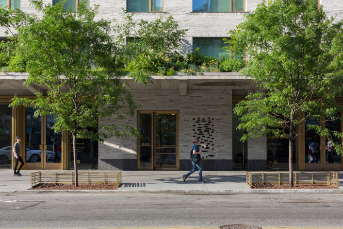 The mini green roof at the front entrance of 345meatpacking.