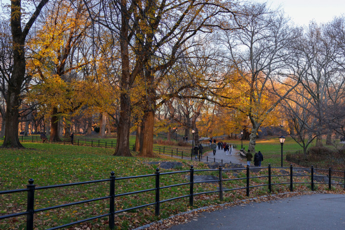 Central Park in New York