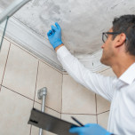 insurance adjuster inspecting mold